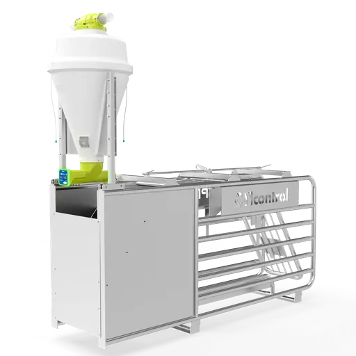 Box de autocaptura para cerdas en gestación con alimentación individual