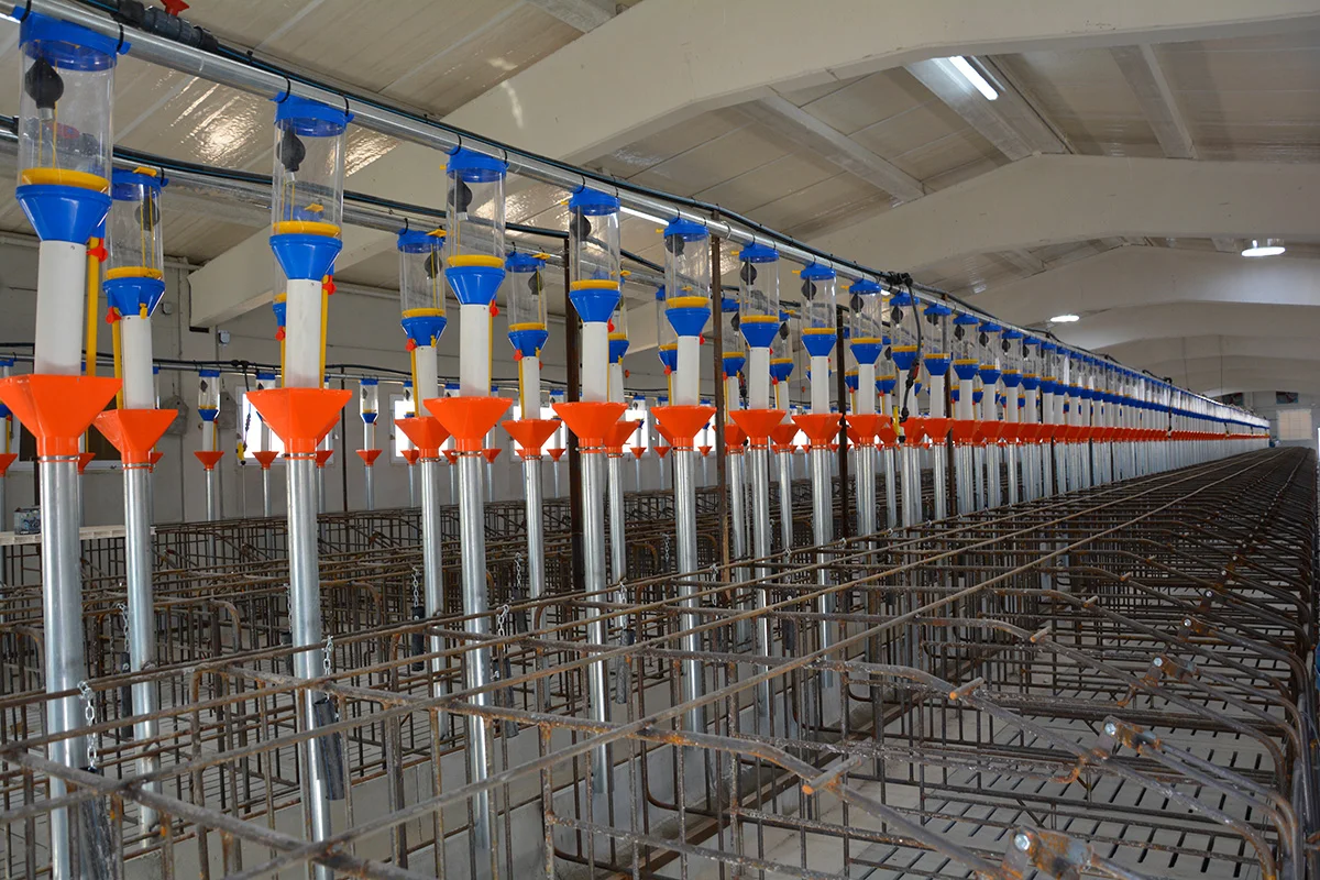 /images/solutions/livestock/nave-de-cerdos-la-ventica-2022/nave-de-cerdos-la-ventica-0.webp