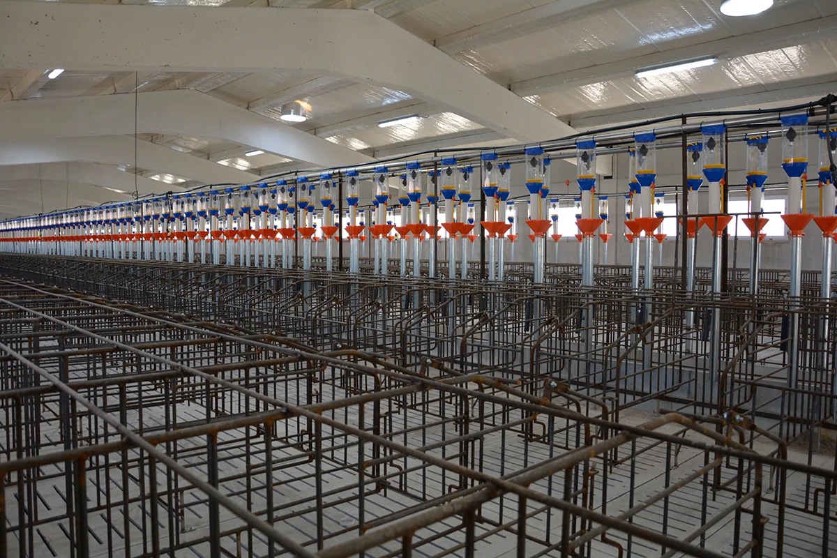 /images/solutions/livestock/nave-de-cerdos-la-ventica-2022/nave-de-cerdos-la-ventica-1.webp
