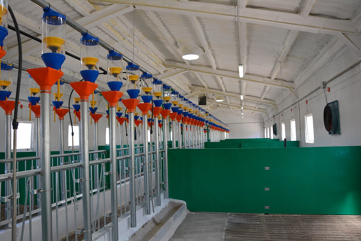 /images/solutions/livestock/nave-de-cerdos-la-ventica-2022/nave-de-cerdos-la-ventica-12.webp