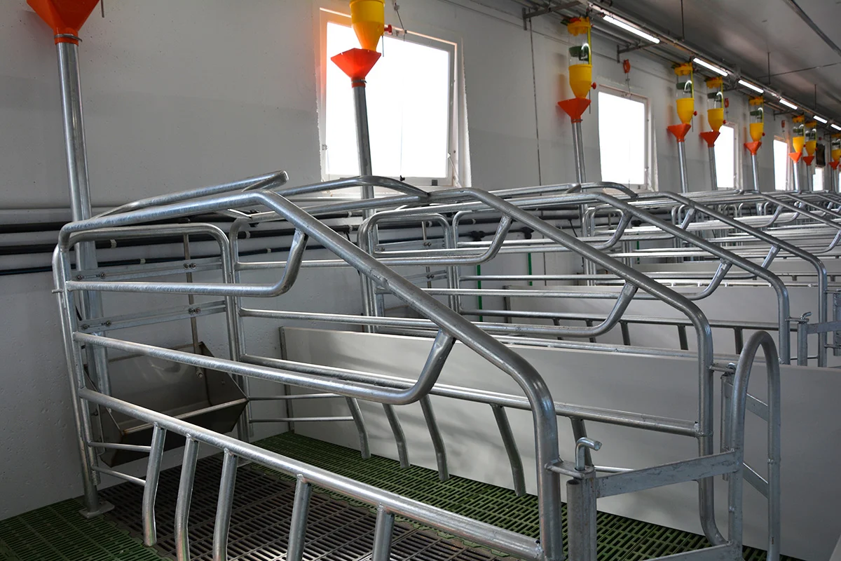 /images/solutions/livestock/nave-de-cerdos-la-ventica-2022/nave-de-cerdos-la-ventica-2.webp