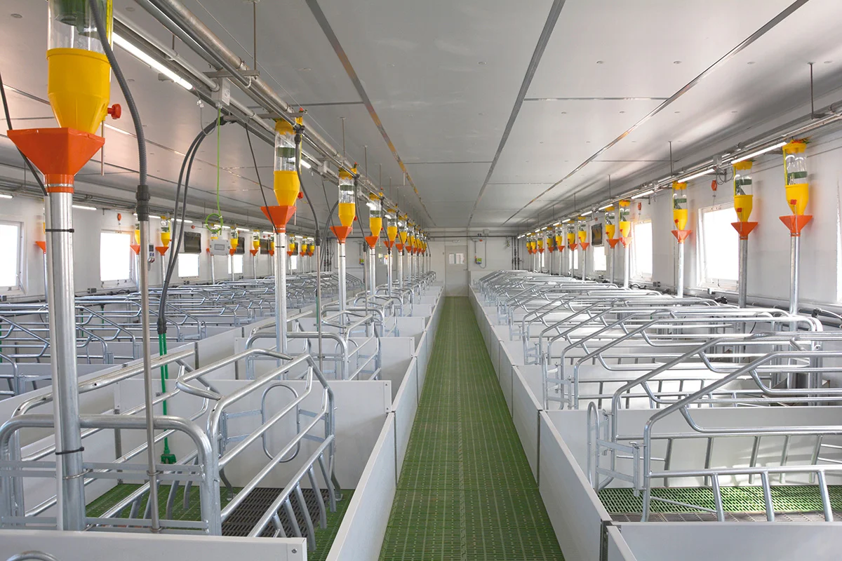 /images/solutions/livestock/nave-de-cerdos-la-ventica-2022/nave-de-cerdos-la-ventica-3.webp
