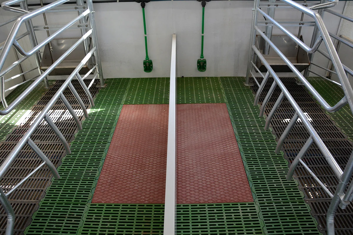/images/solutions/livestock/nave-de-cerdos-la-ventica-2022/nave-de-cerdos-la-ventica-4.webp
