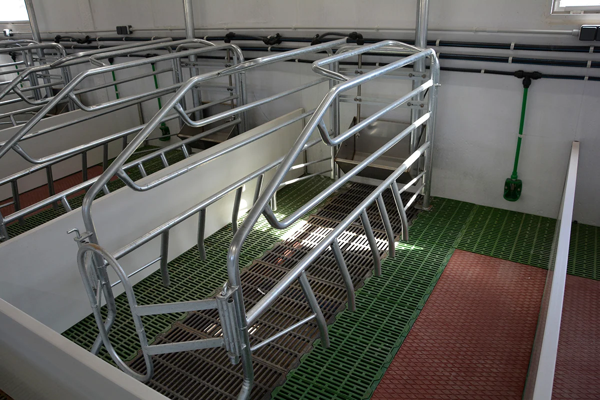 /images/solutions/livestock/nave-de-cerdos-la-ventica-2022/nave-de-cerdos-la-ventica-5.webp