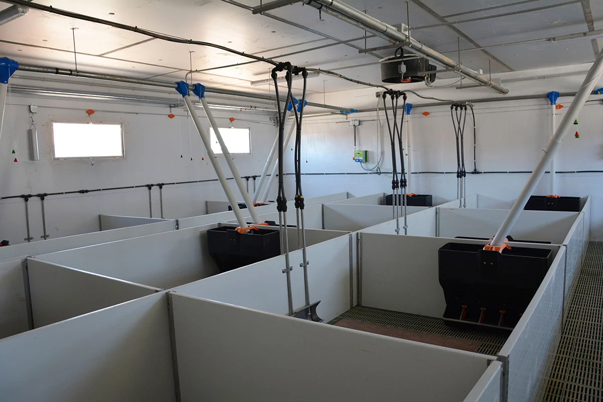 /images/solutions/livestock/nave-de-cerdos-la-ventica-2022/nave-de-cerdos-la-ventica-6.webp