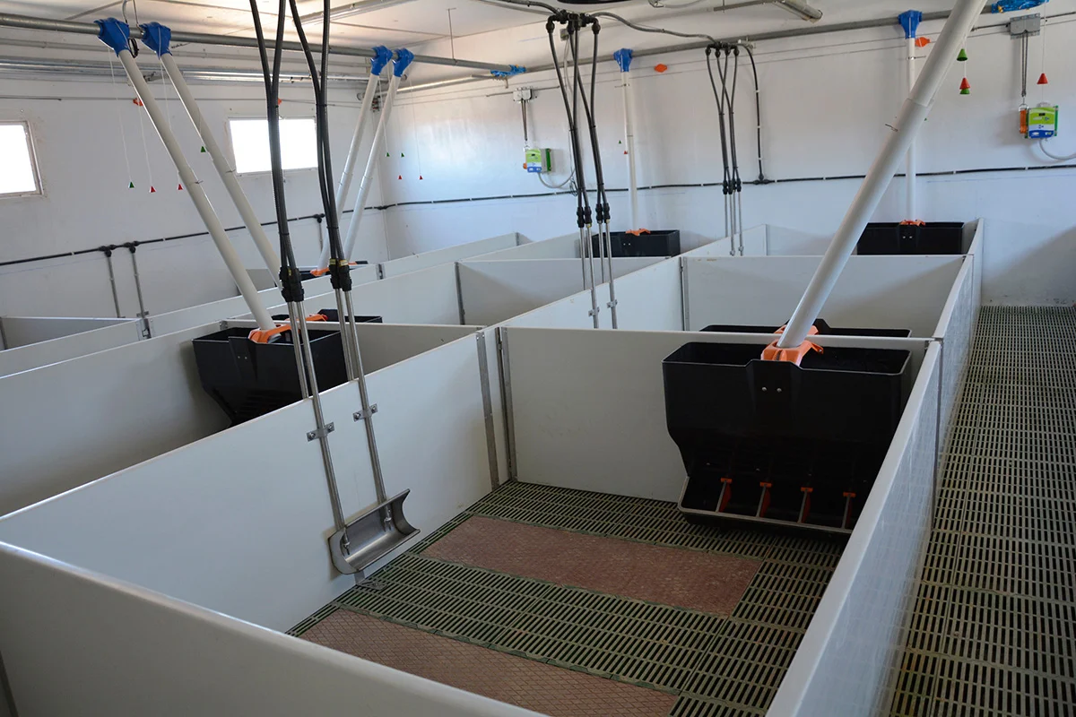 /images/solutions/livestock/nave-de-cerdos-la-ventica-2022/nave-de-cerdos-la-ventica-7.webp