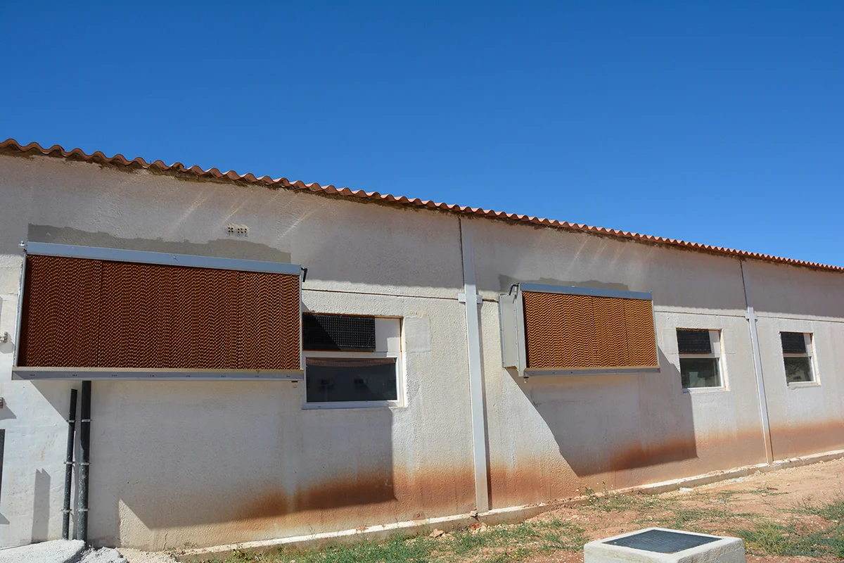 /images/solutions/livestock/nave-de-cerdos-la-ventica-2022/nave-de-cerdos-la-ventica-8.webp