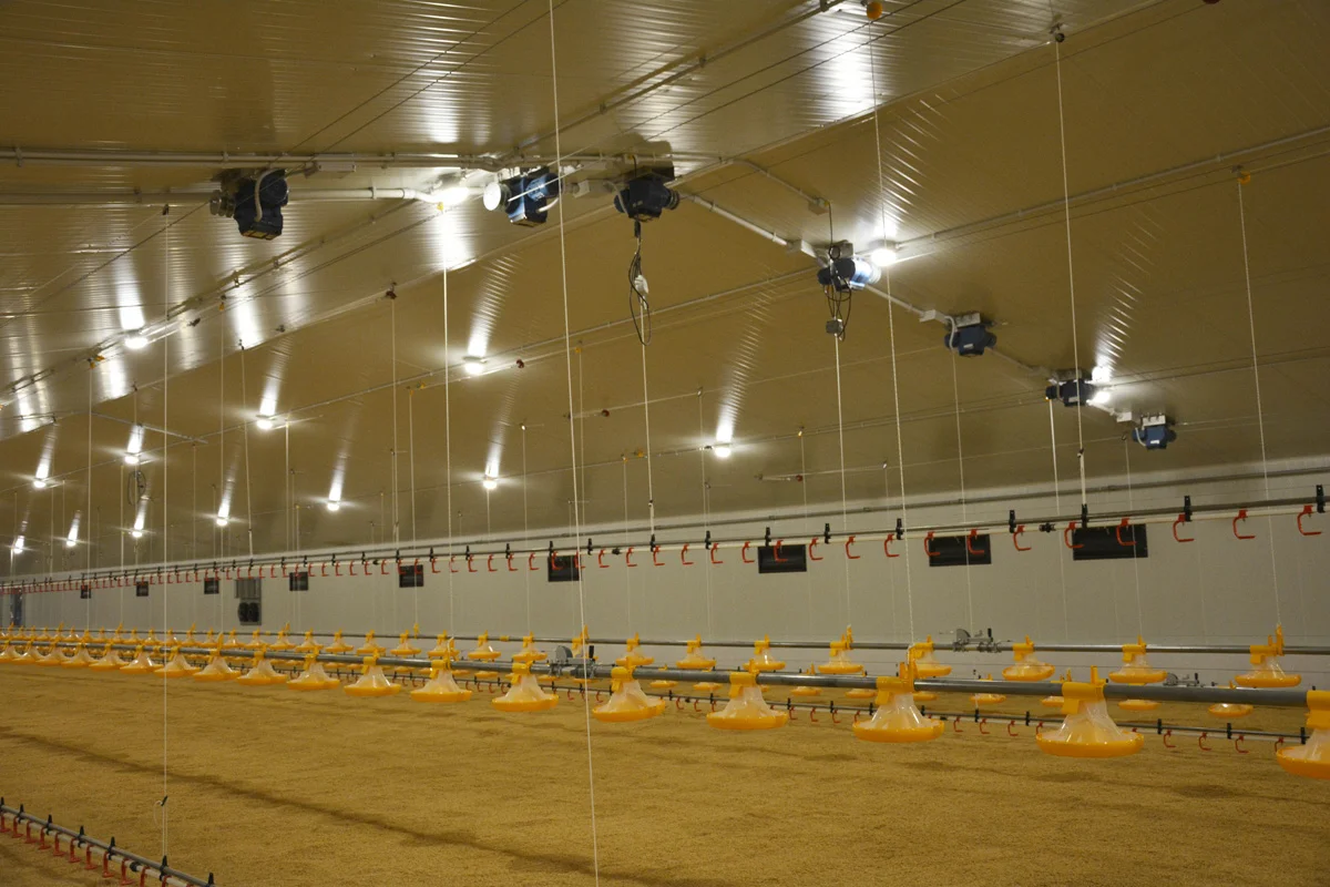 /images/solutions/livestock/nave-de-pollos-engorde-lorca-2022/nave-de-pollos-lorca-2.webp