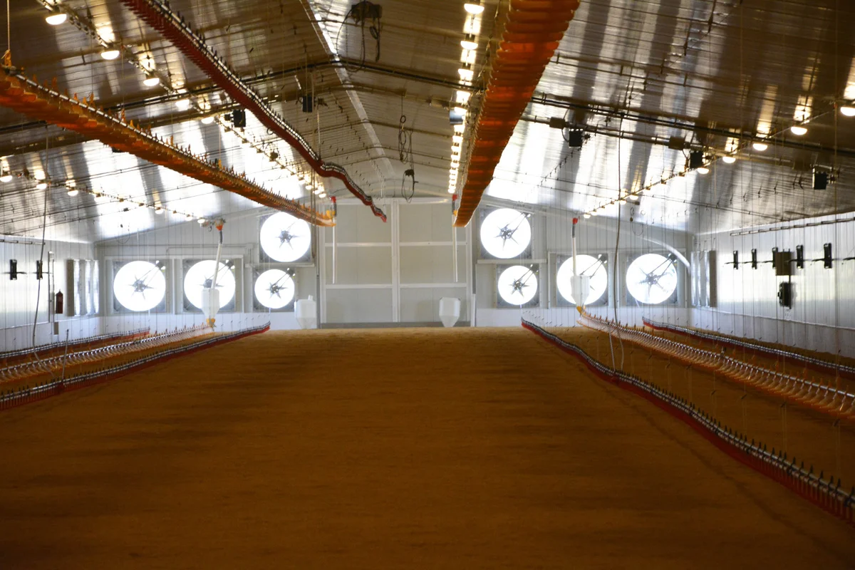 /images/solutions/livestock/nave-de-pollos-engorde-lorca-2022/nave-de-pollos-lorca-5.webp