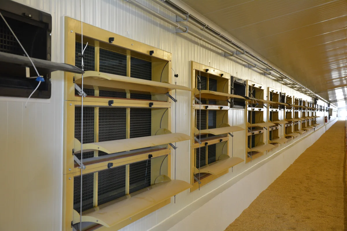 /images/solutions/livestock/nave-de-pollos-engorde-lorca-2022/nave-de-pollos-lorca-6.webp