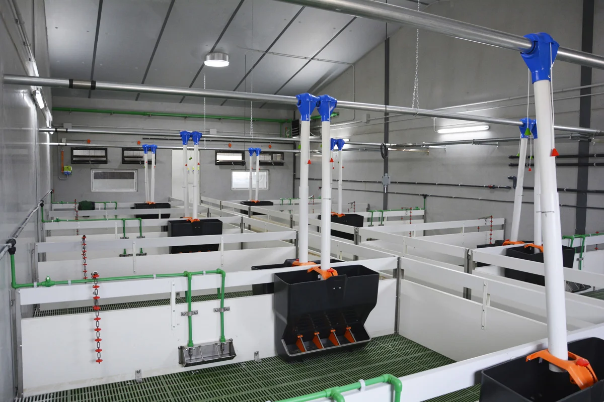 /images/solutions/livestock/nave-ganadera-cerdos-saladillo-2024/nave-ganadera-saladillo-7.webp