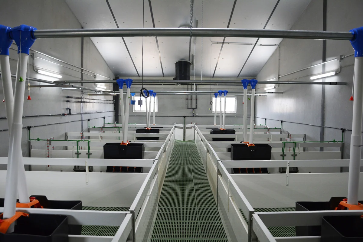 /images/solutions/livestock/nave-ganadera-cerdos-saladillo-2024/nave-ganadera-saladillo-8.webp