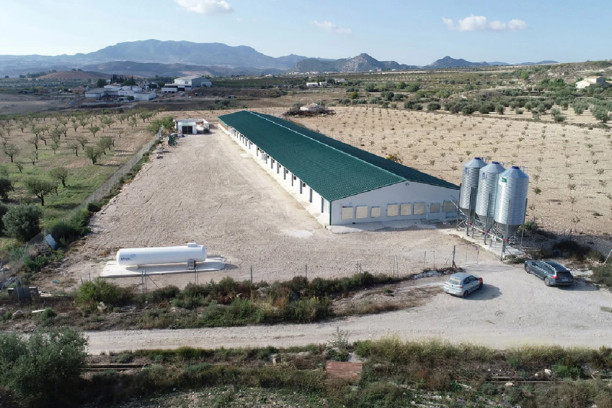 Nave de pollos de engorde en Vélez Rubio