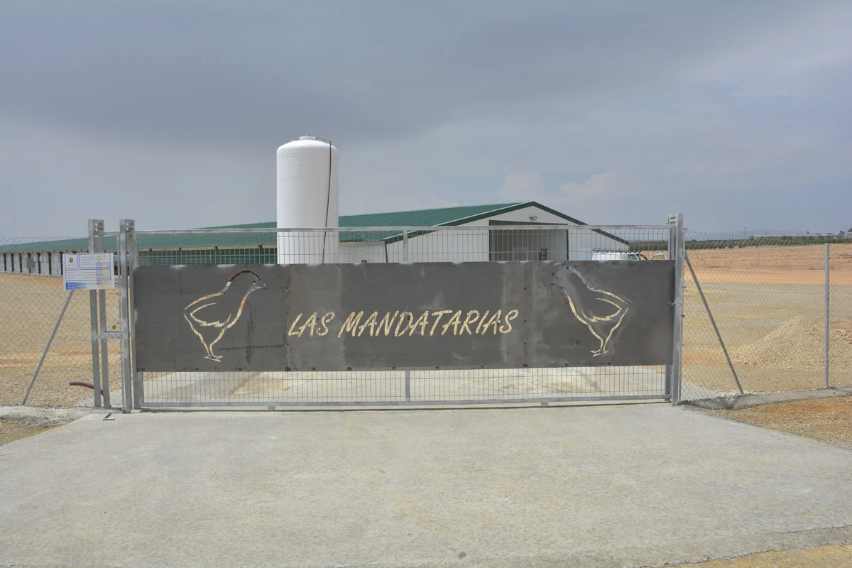 Nave de pollos de engorde 'Las Mandatarias'
